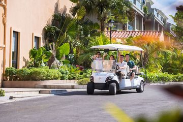 Golf cart