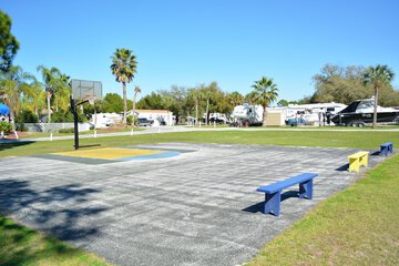 Basketball court