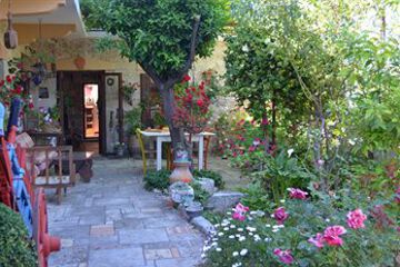Terrace or Patio
