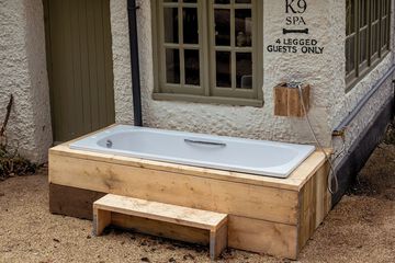 Pet-friendly amenities