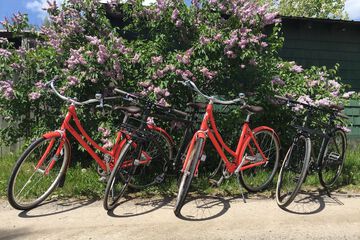 Bicycling