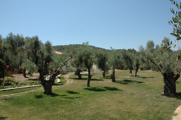 Outdoor wedding area