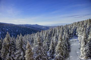 Mountain view