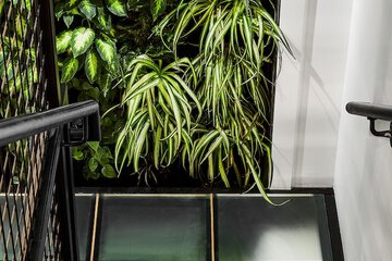 Interior detail