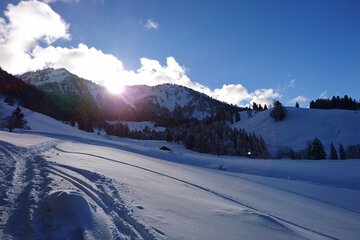 Snowshoeing