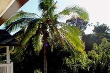 Bamboo Valley Inn