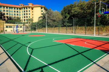 Basketball court