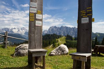 Hiking