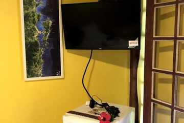 Television