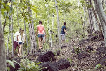 Hiking