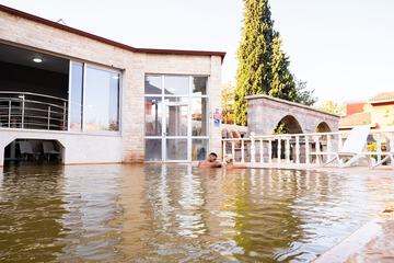 Indoor/outdoor pool