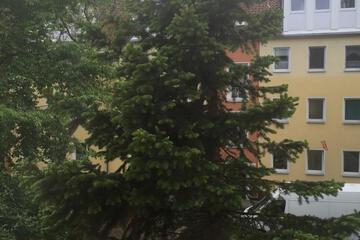 Photo 32