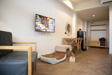 Pet-friendly amenities