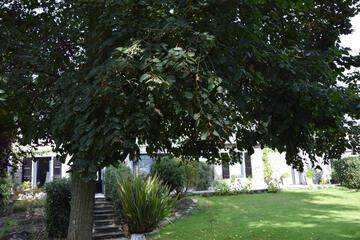Photo 57