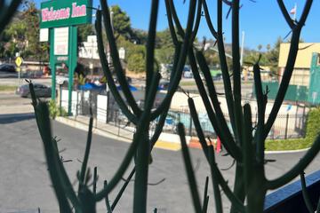 Terrace/Patio 27 of 28