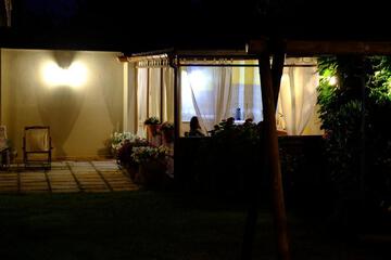 Photo 75