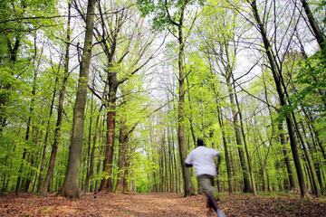 Hiking