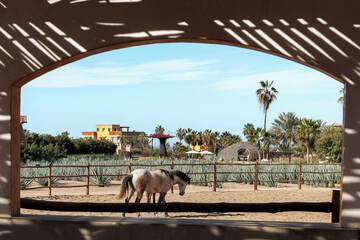 Horseback riding
