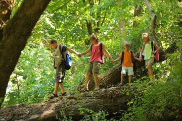 Children's activities