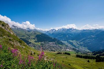 Photo 20