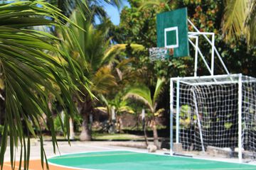 Basketball court
