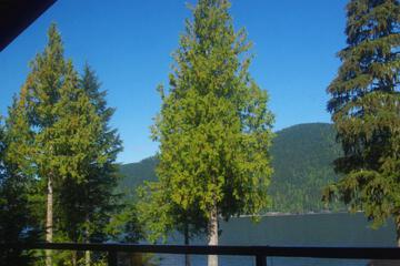 Photo 45