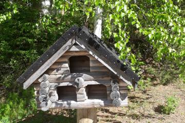 Photo 10