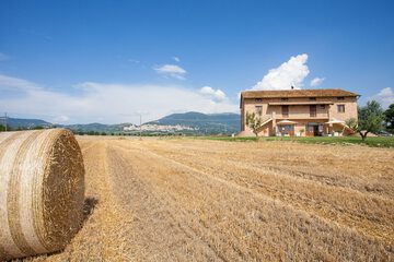 Winery