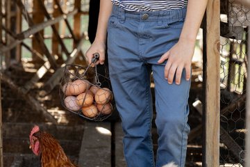 Children's activities