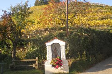 Photo 48