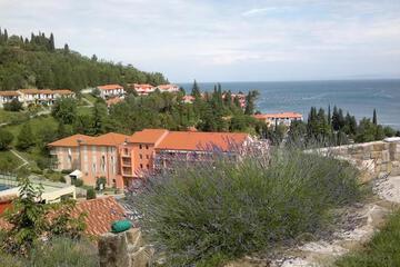 Photo 35