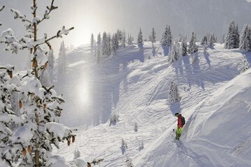 Snowshoeing