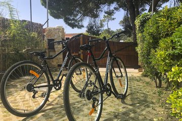 Bicycling