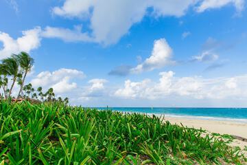 Beach/ocean view