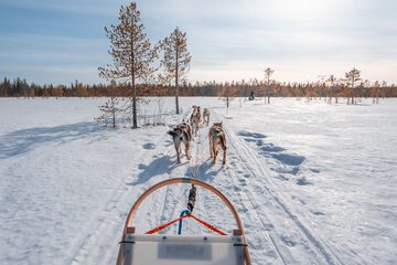 Sledding