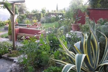 Photo 38