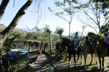 Horseback riding
