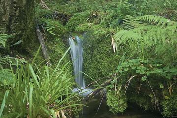Ecotours