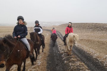 Horseback riding