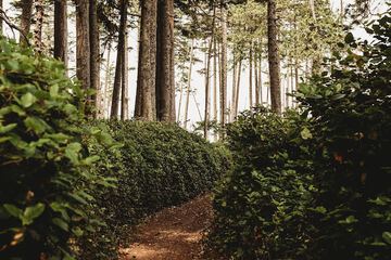 Hiking