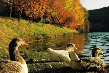Lake