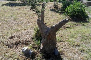 Photo 22