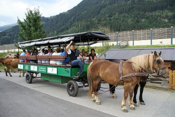 Horseback riding