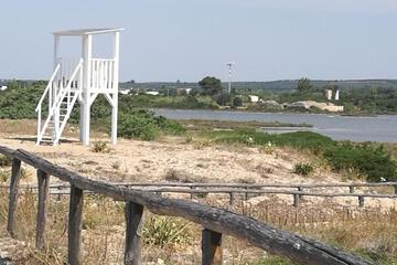 Photo 45