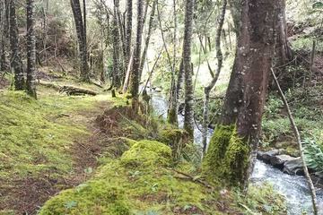 Ecotours