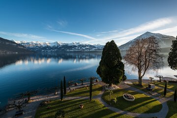 Lake view