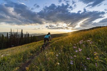 Bicycling