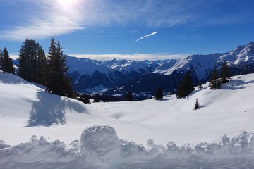 Skiing