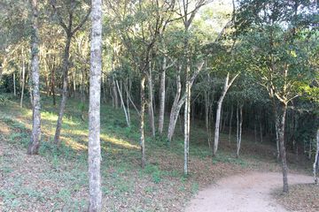 Hiking