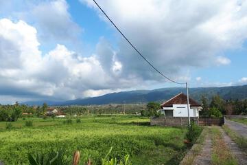 Photo 54